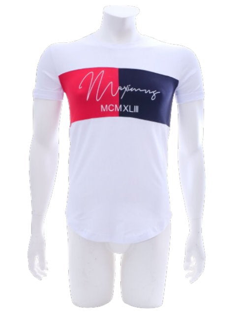 Men's Short Sleeve Crew Neck T-Shirt with Graphic Print Fitness White S - XXL